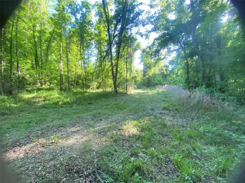 Danburg Road