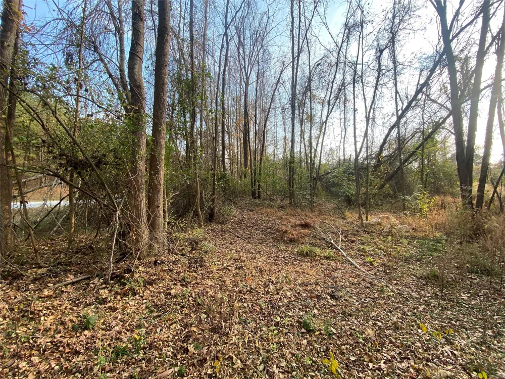 Danburg Road Washington, GA 30673