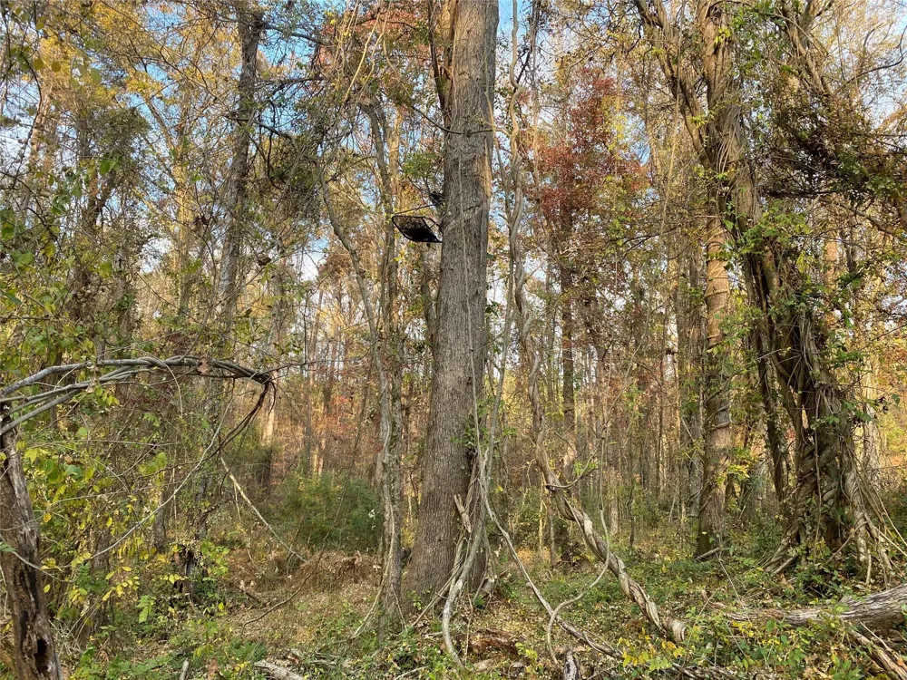 Danburg Road Washington, GA 30673