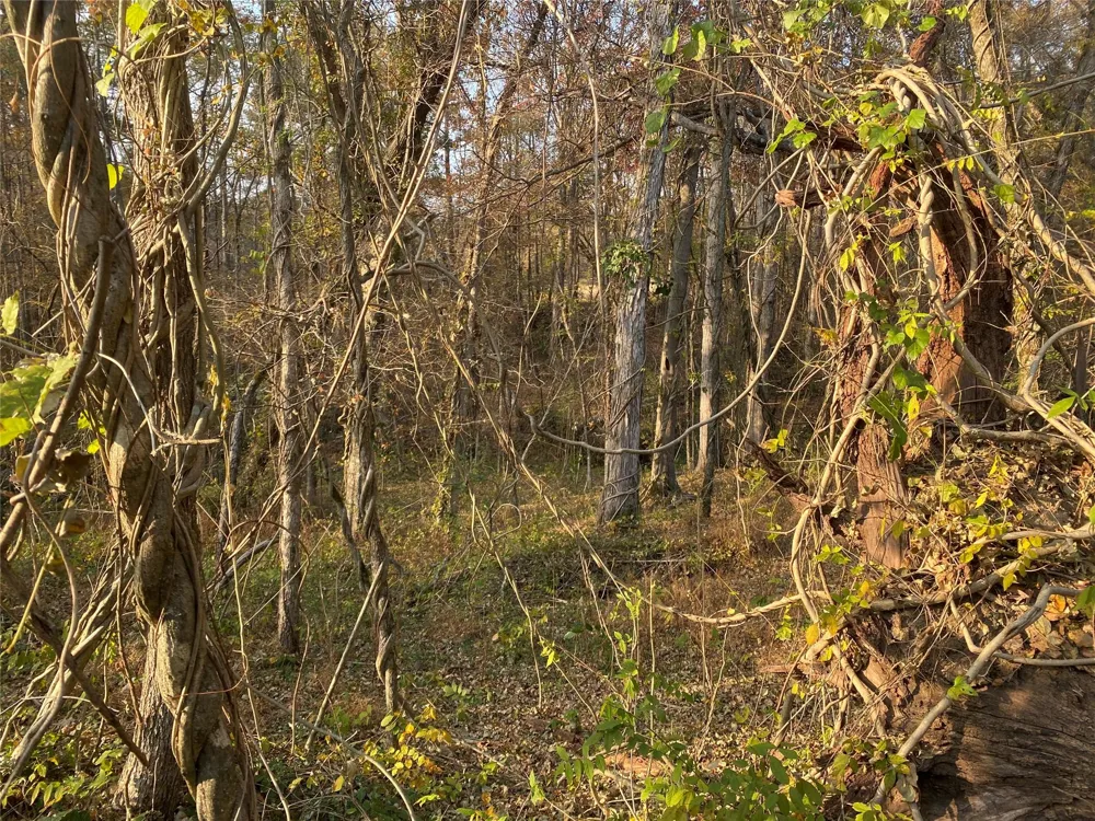 Danburg Road Washington, GA 30673