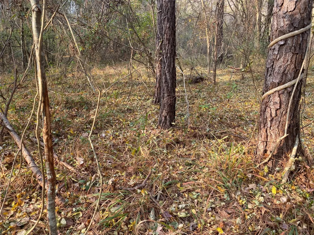 Danburg Road Washington, GA 30673