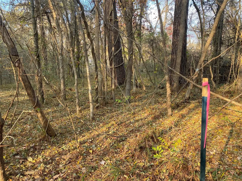 Danburg Road Washington, GA 30673