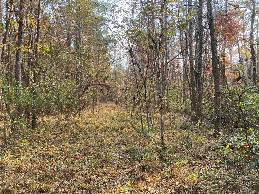 Danburg Road Washington, GA 30673