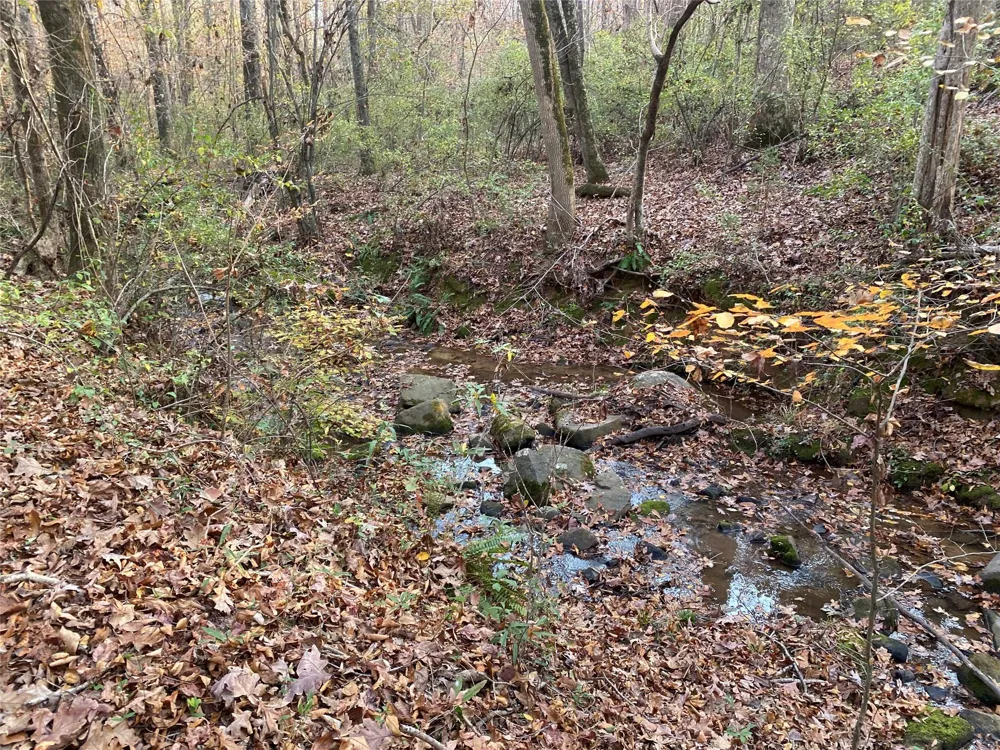 Danburg Road Washington, GA 30673