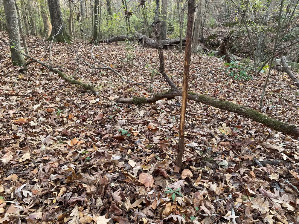Danburg Road Washington, GA 30673