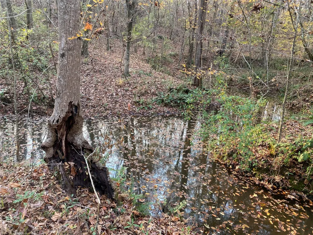 Danburg Road Washington, GA 30673