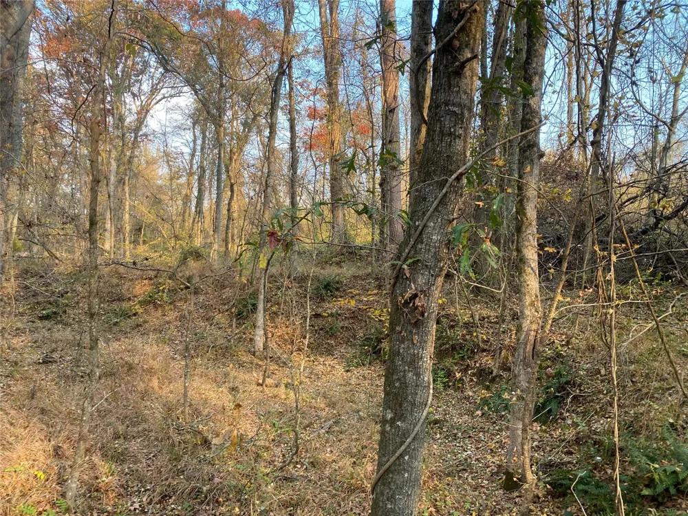 Danburg Road Washington, GA 30673
