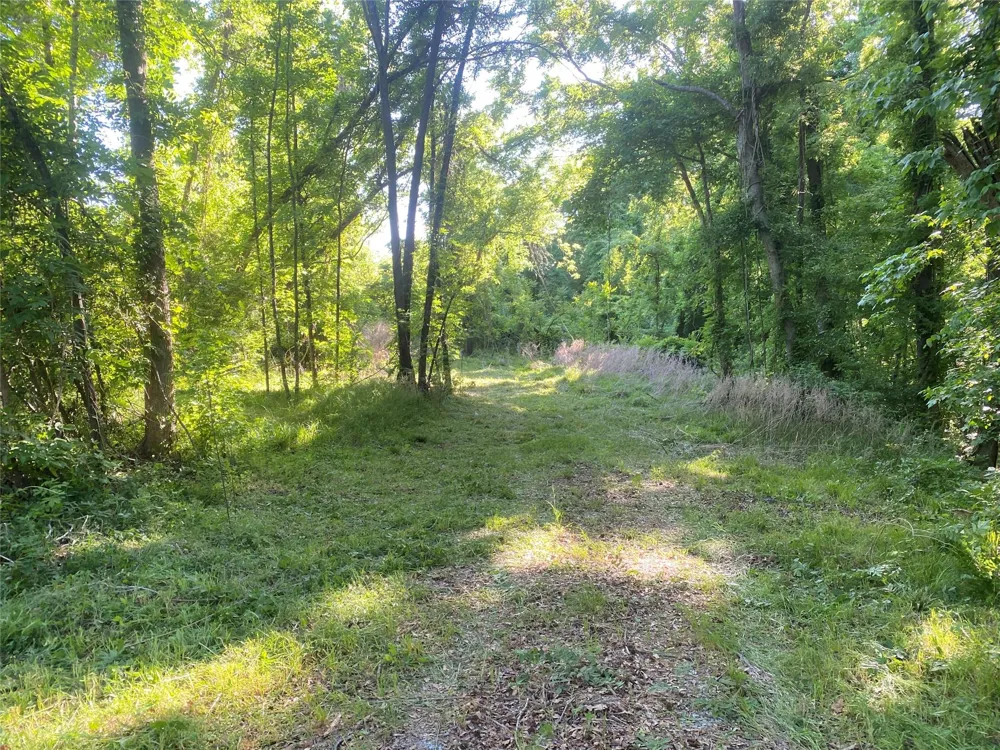 Danburg Road Washington, GA 30673