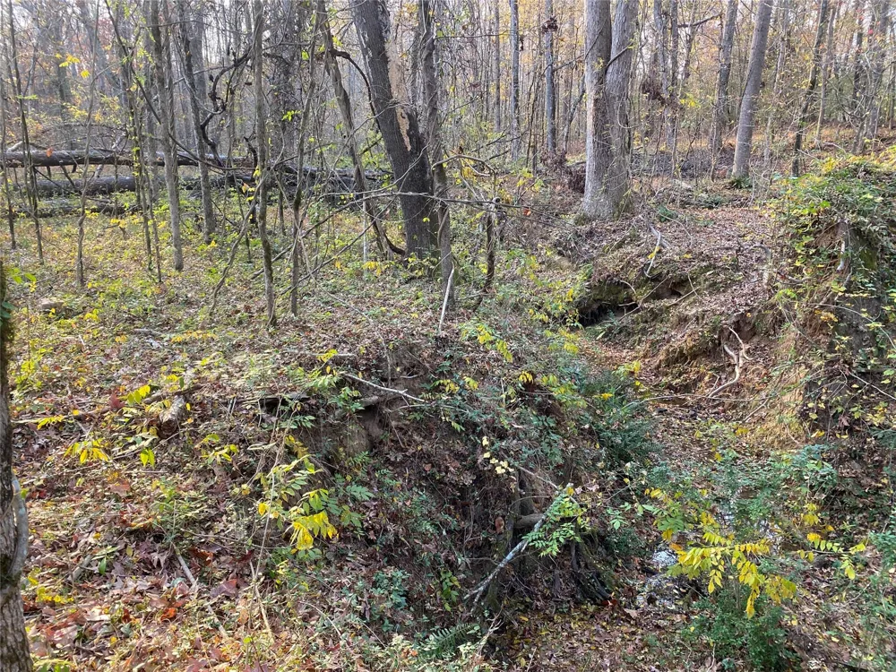Danburg Road Washington, GA 30673