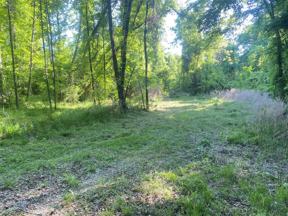 Danburg Road Washington, GA 30673