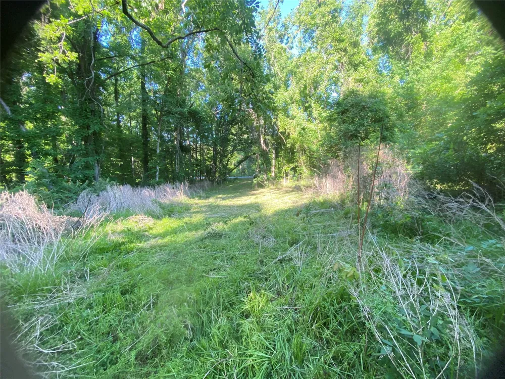 Danburg Road Washington, GA 30673