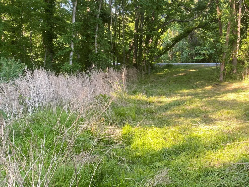Danburg Road Washington, GA 30673