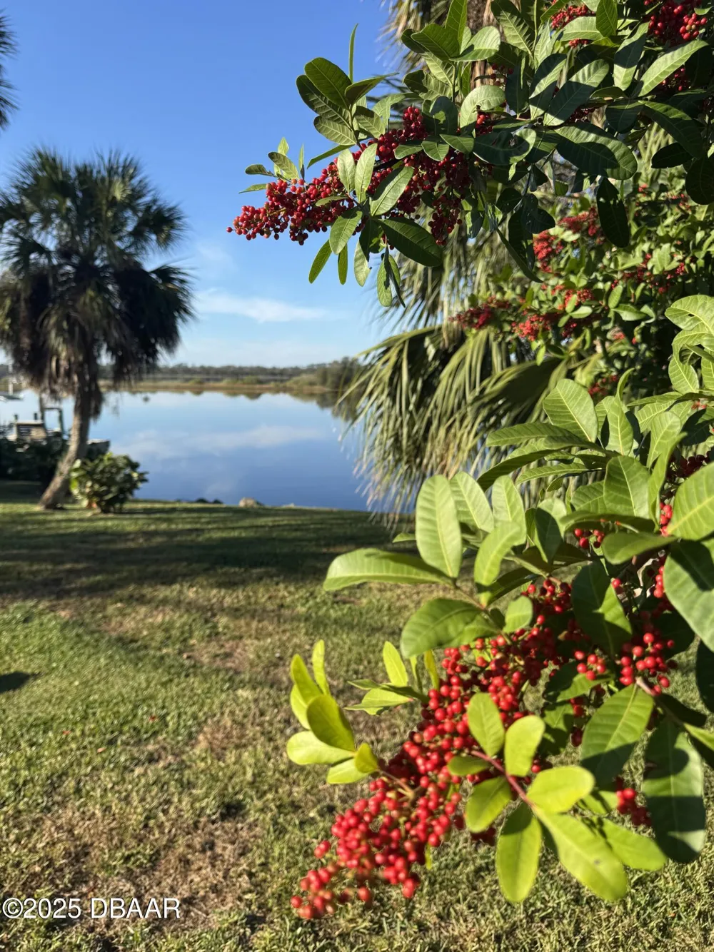 3780 John Anderson Drive Ormond Beach, FL 32176