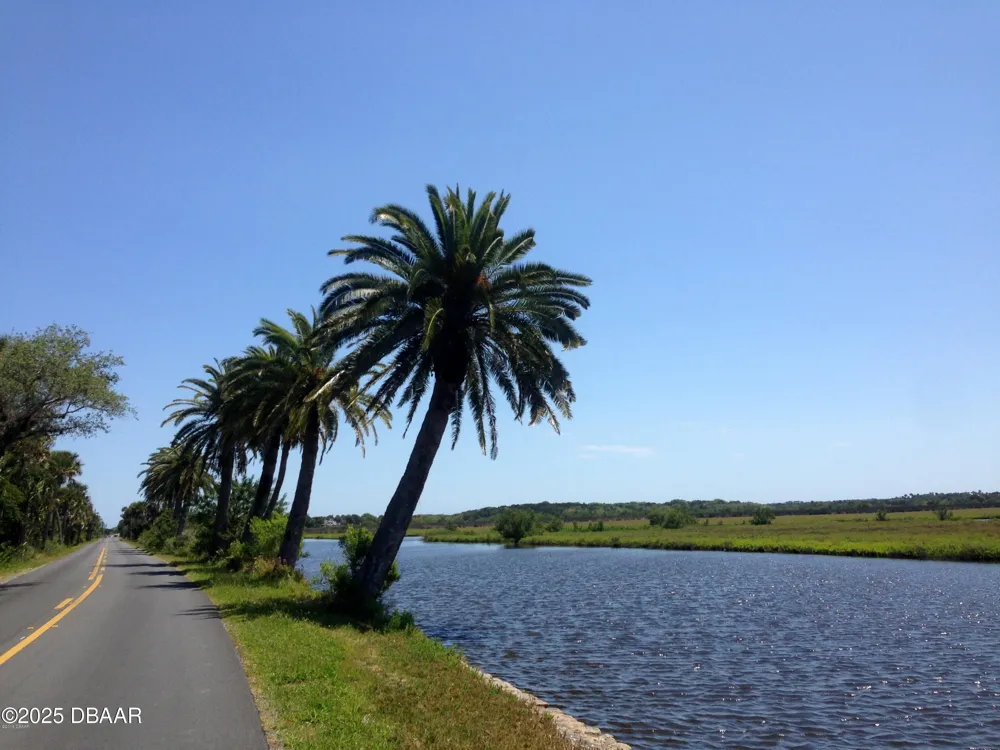 3780 John Anderson Drive Ormond Beach, FL 32176