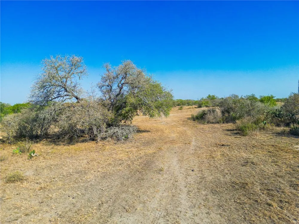 3189 County Road 407 Karnes City, TX 78113