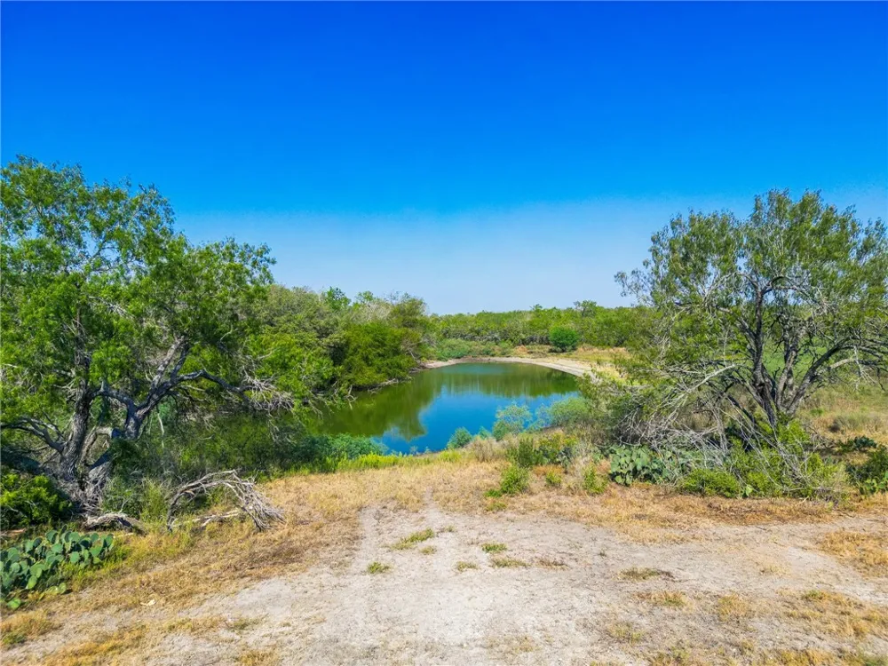 3189 County Road 407 Karnes City, TX 78113