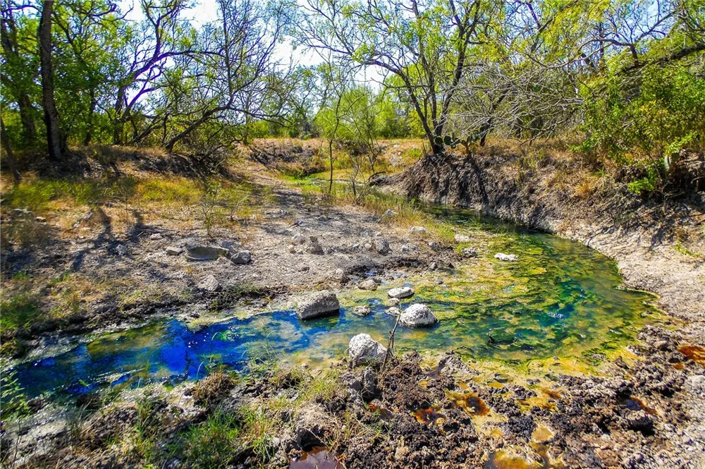 3189 County Road 407 Karnes City, TX 78113