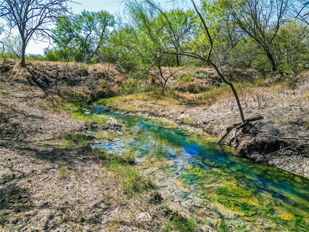 3189 County Road 407 Karnes City, TX 78113