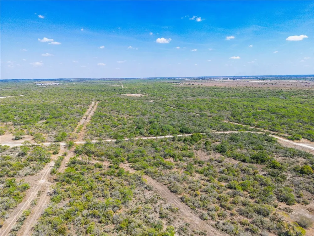 3189 County Road 407 Karnes City, TX 78113