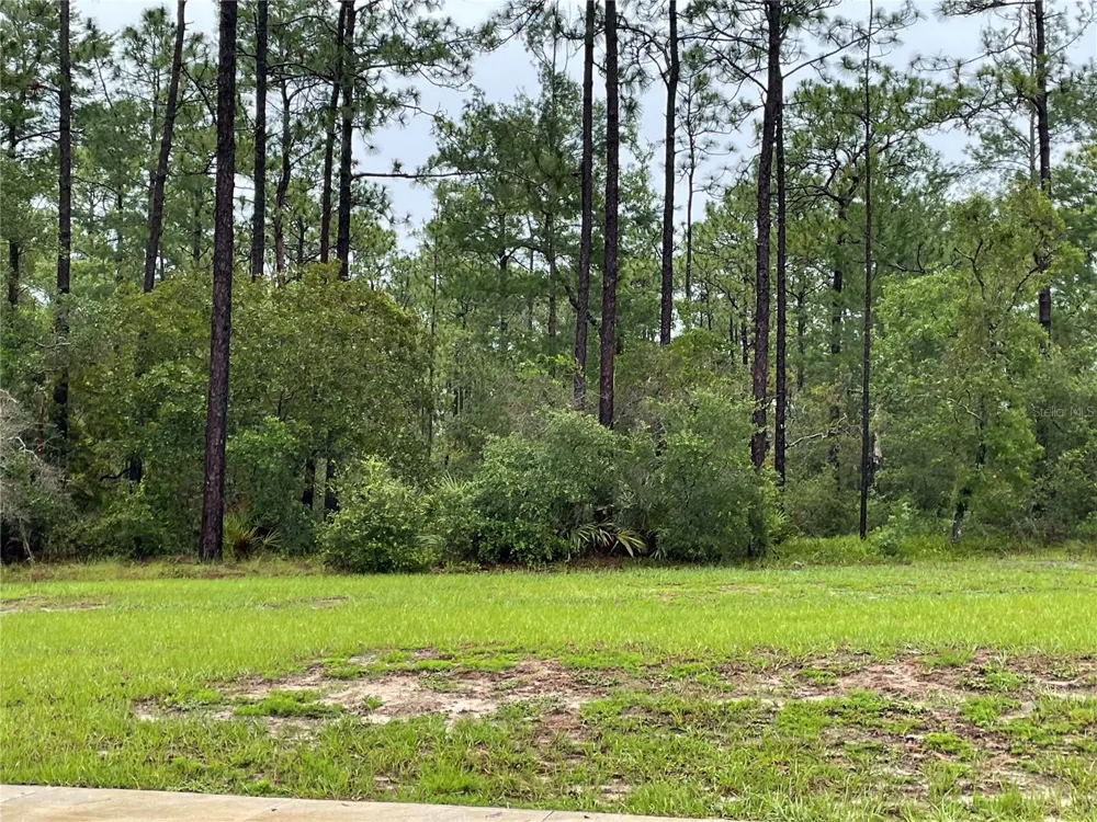 VIRGINIA (PAPER) AVENUE Deltona, FL 32738