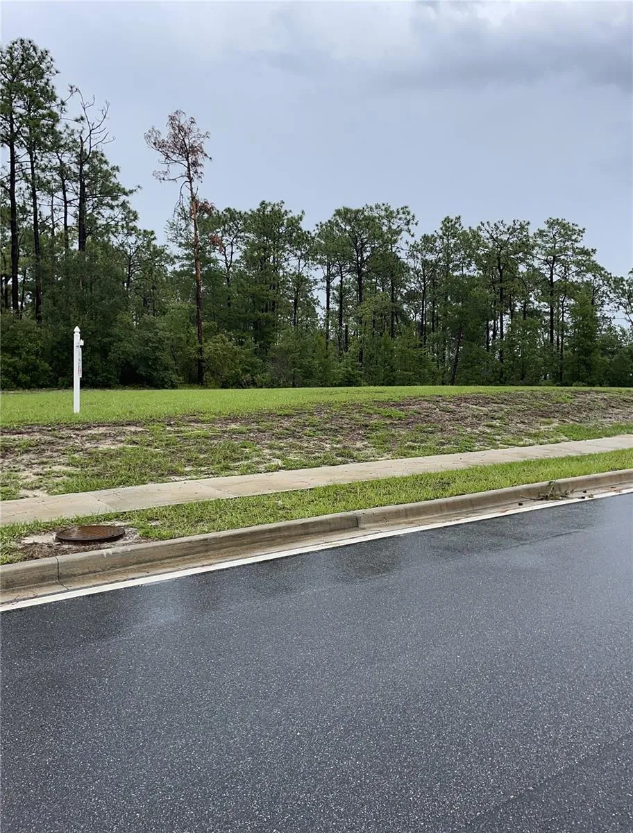 VIRGINIA (PAPER) AVENUE Deltona, FL 32738