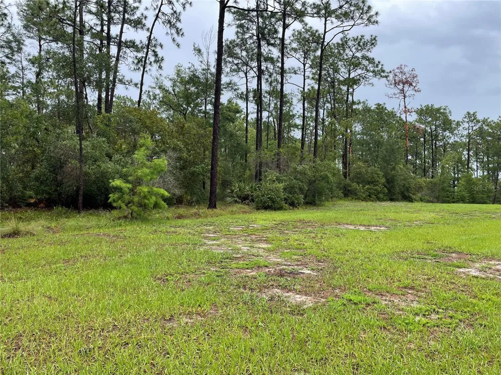 VIRGINIA (PAPER) AVENUE Deltona, FL 32738