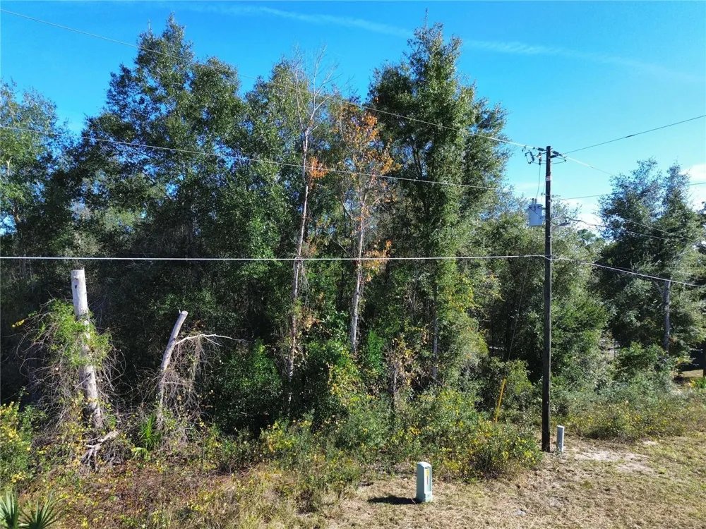 0 SE 178TH AVENUE Silver Springs, FL 34488