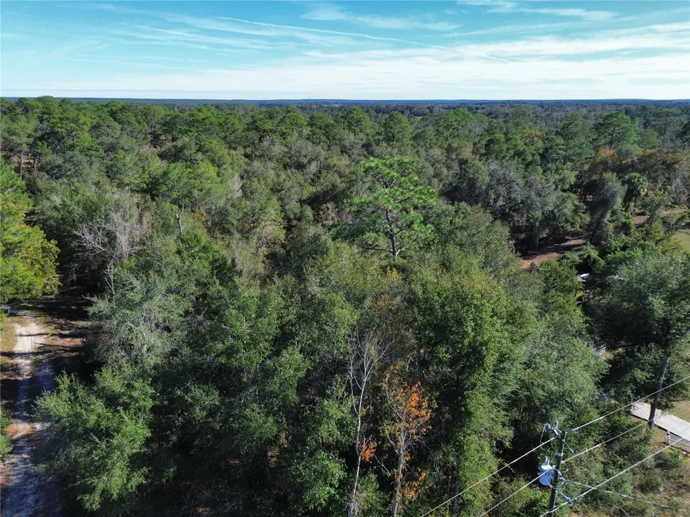 0 SE 178TH AVENUE Silver Springs, FL 34488