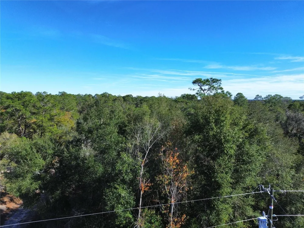 0 SE 178TH AVENUE Silver Springs, FL 34488