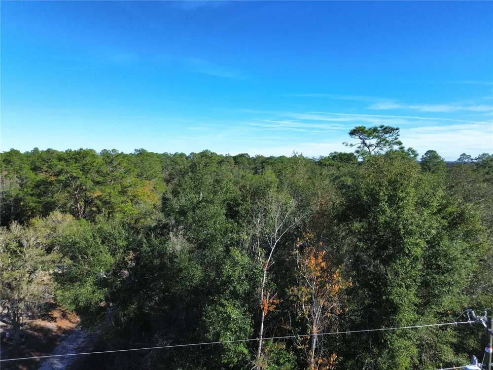 0 SE 178TH AVENUE Silver Springs, FL 34488