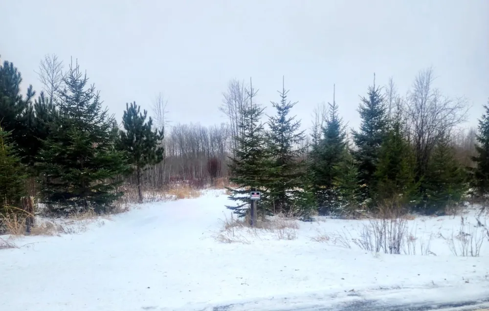17 E  TBD County Road Mizpah, MN 56660