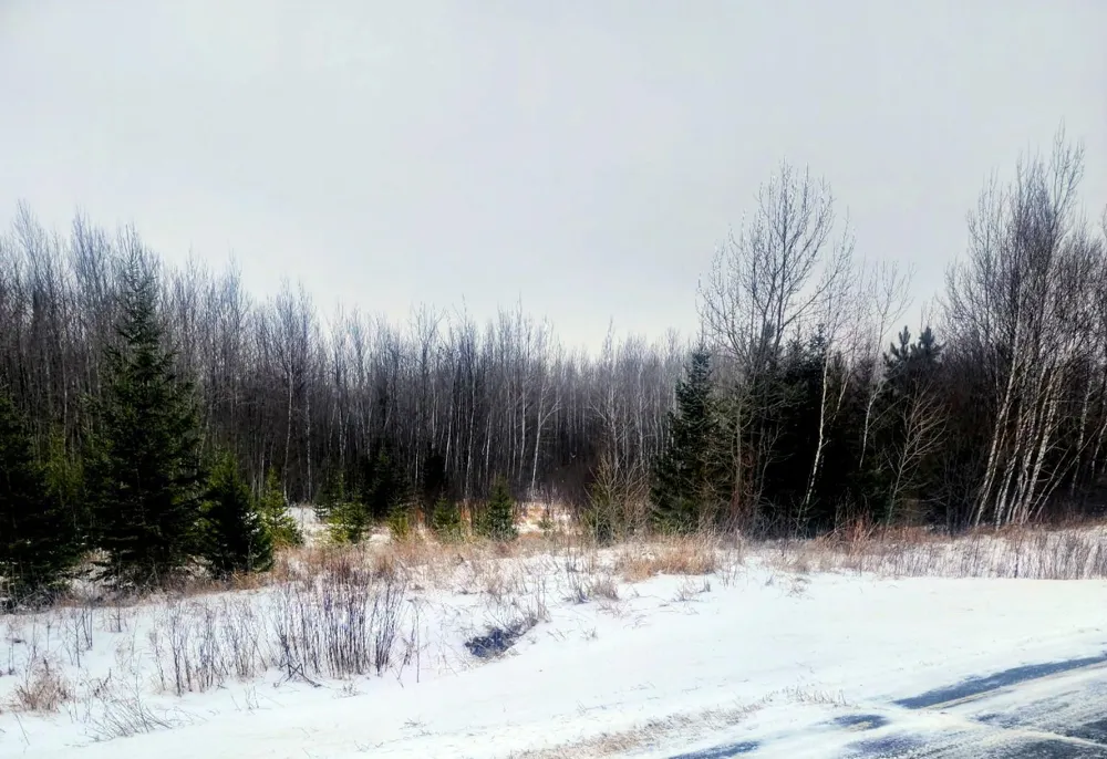17 E  TBD County Road Mizpah, MN 56660