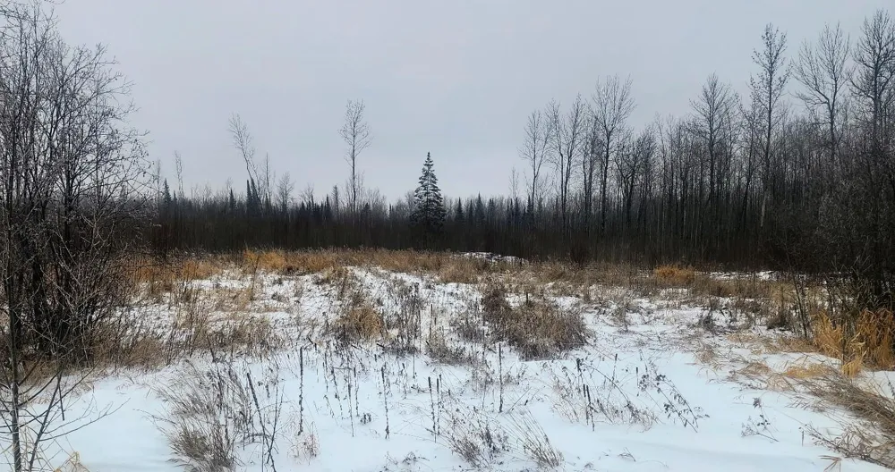 17 E  TBD County Road Mizpah, MN 56660