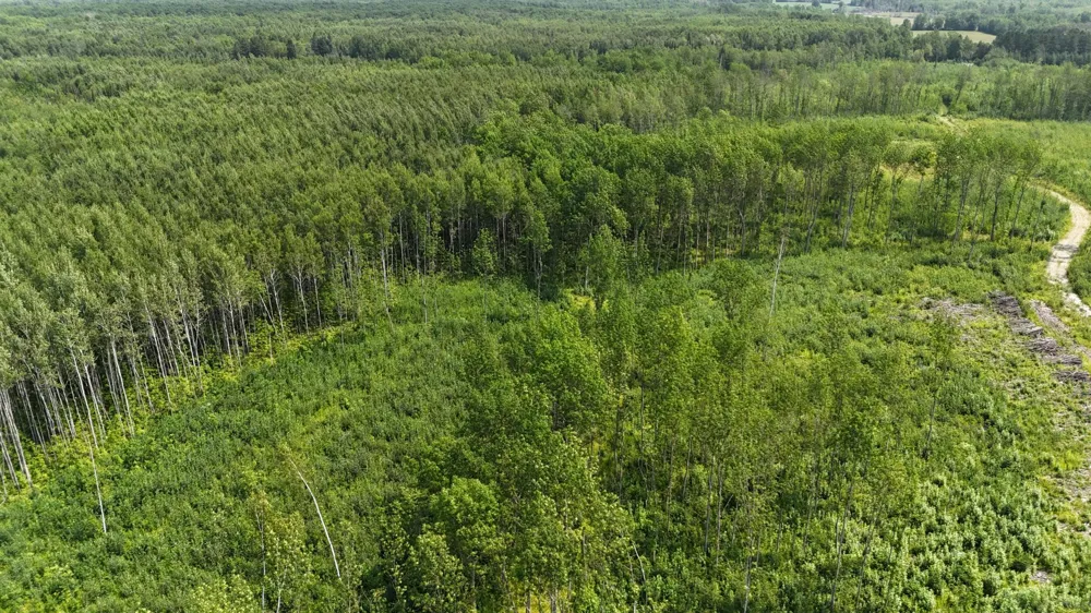 17 E  TBD County Road Mizpah, MN 56660