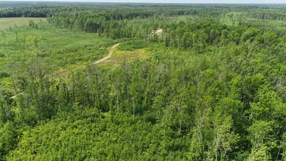 17 E  TBD County Road Mizpah, MN 56660
