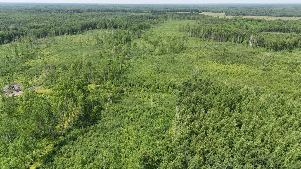 17 E  TBD County Road Mizpah, MN 56660
