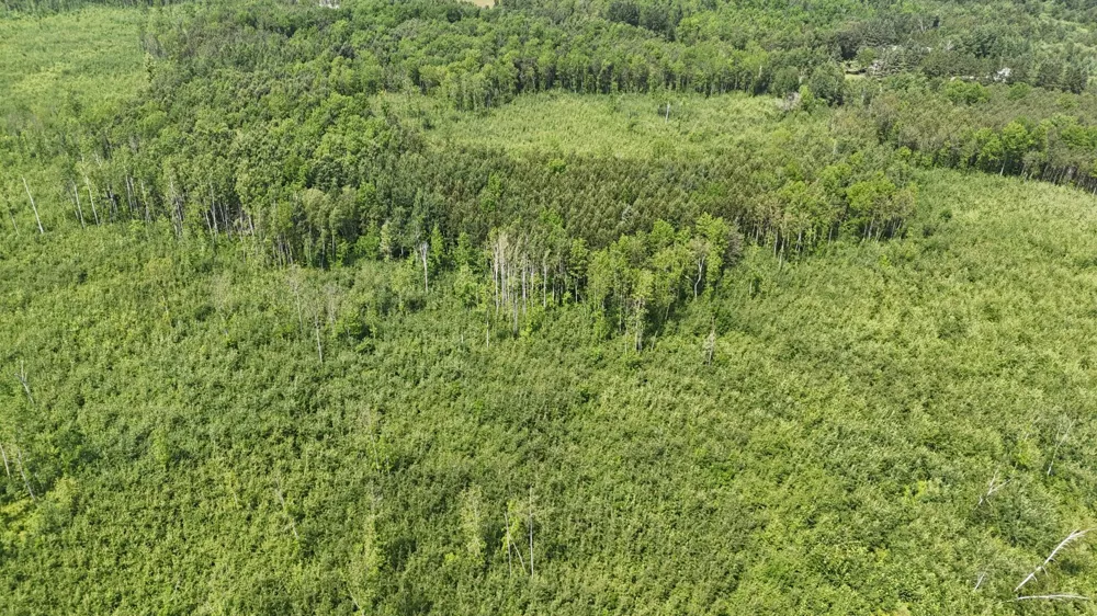 17 E  TBD County Road Mizpah, MN 56660