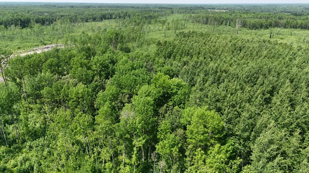 17 E  TBD County Road Mizpah, MN 56660