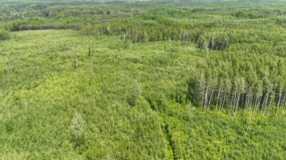 17 E  TBD County Road Mizpah, MN 56660
