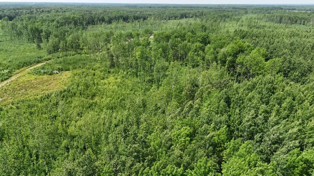 17 E  TBD County Road Mizpah, MN 56660