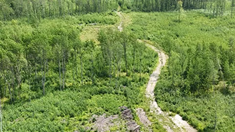 17 E County Road