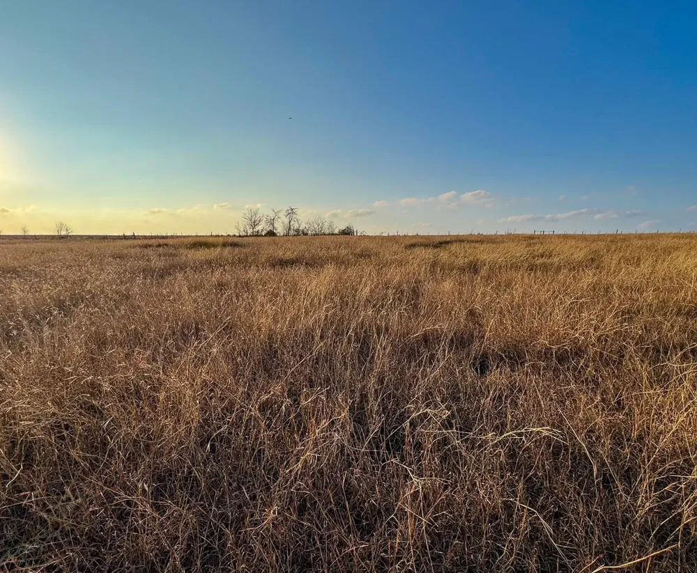 5895 Farek-Loth Road Schulenburg, TX 78956
