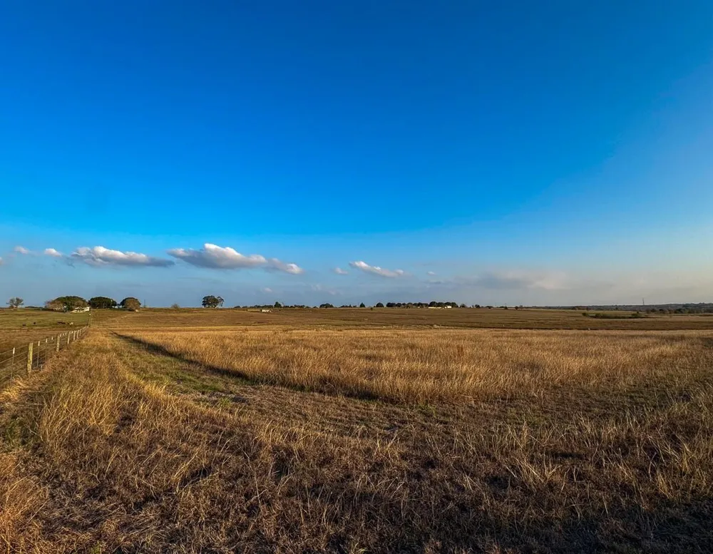 5895 Farek-Loth Road Schulenburg, TX 78956