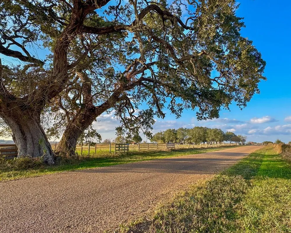 5895 Farek-Loth Road Schulenburg, TX 78956