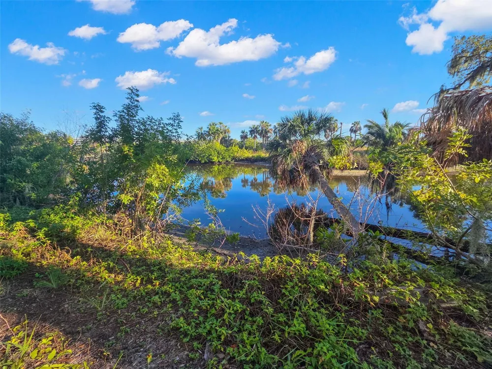 9511 RIVER COVE DRIVE Riverview, FL 33578