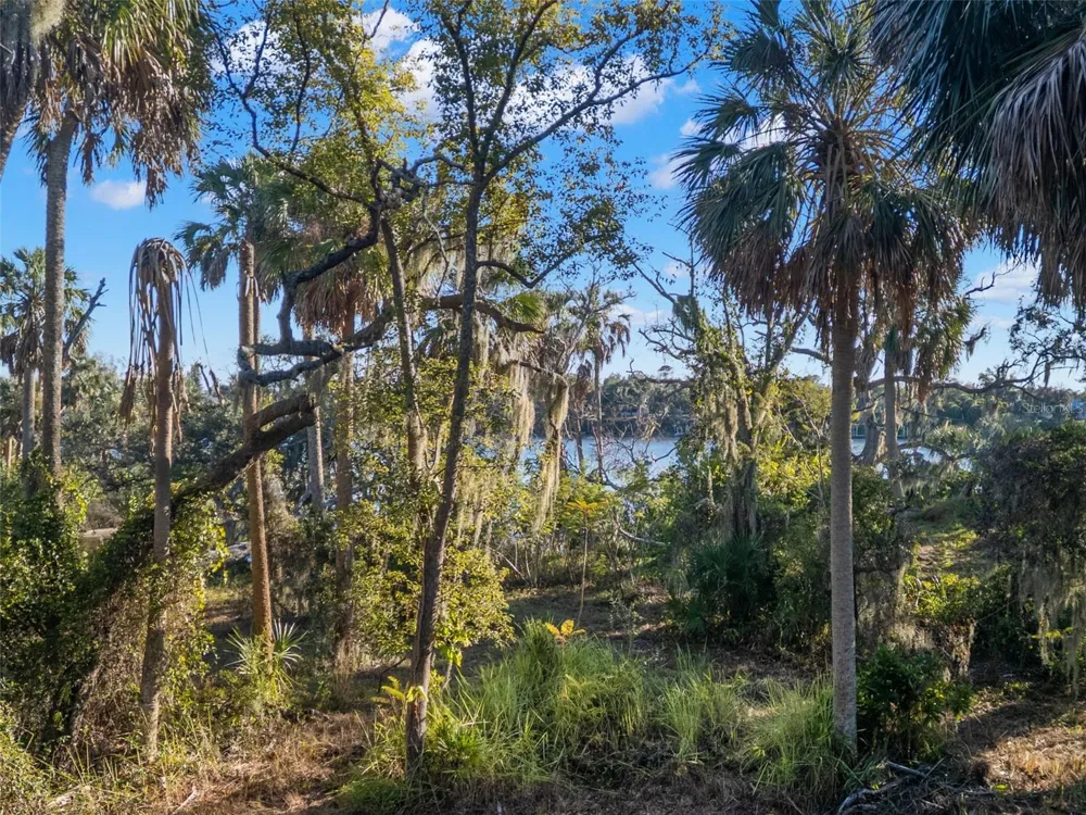 9511 RIVER COVE DRIVE Riverview, FL 33578
