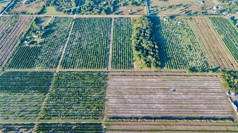 2205 HICKS ROAD Lorida, FL 33857