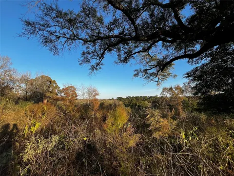 231 County Road 2190