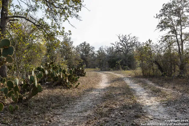 TBD Cr 345 Gonzales, TX 78629