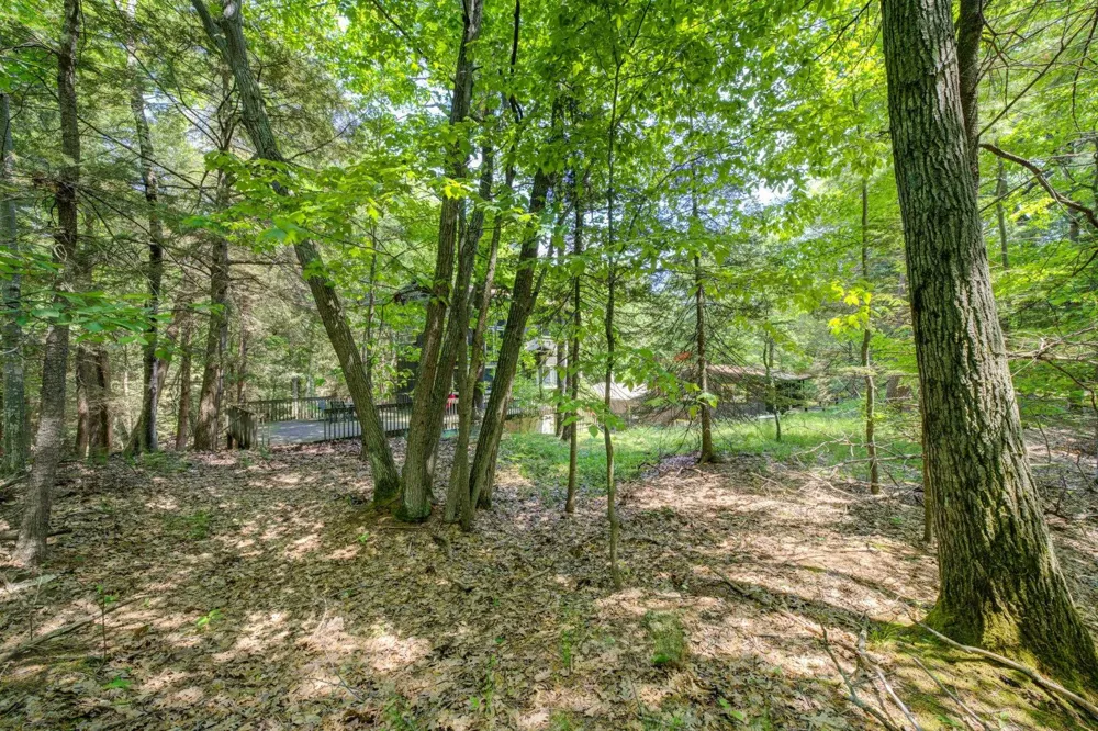 3312 Old State Road Lake Township, MI 49635